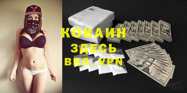 спиды Лиски