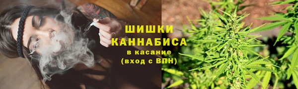 спиды Лиски