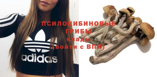 спиды Лиски