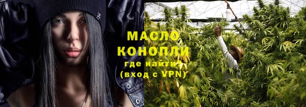 индика Протвино