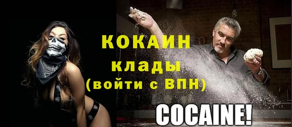 спиды Лиски